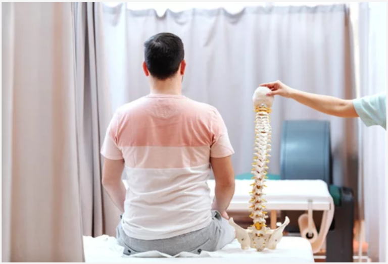 Therapist holding a spine model behind a seated patient
