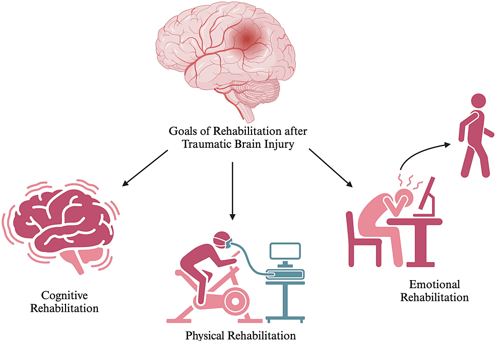 Diagram illustrating the goals of rehabilitation after traumatic brain injury, including cognitive, physical, and emotional rehabilitation.